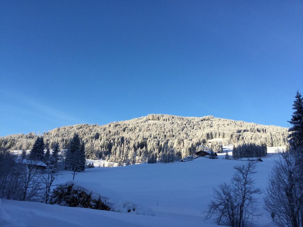 Ferienwohnungen Vierthaler Filzmoos Esterno foto