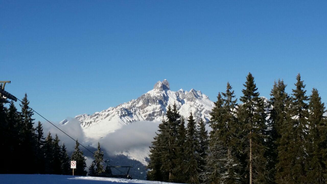 Ferienwohnungen Vierthaler Filzmoos Esterno foto