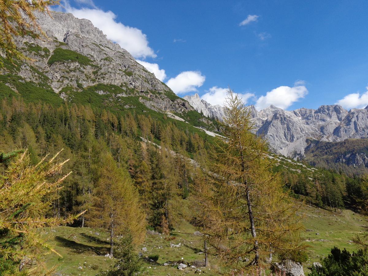 Ferienwohnungen Vierthaler Filzmoos Esterno foto